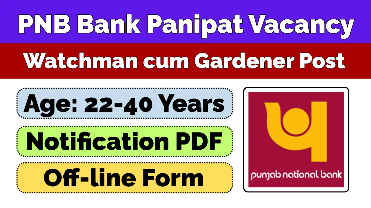 PNB Bank Panipat Vacancy 2025