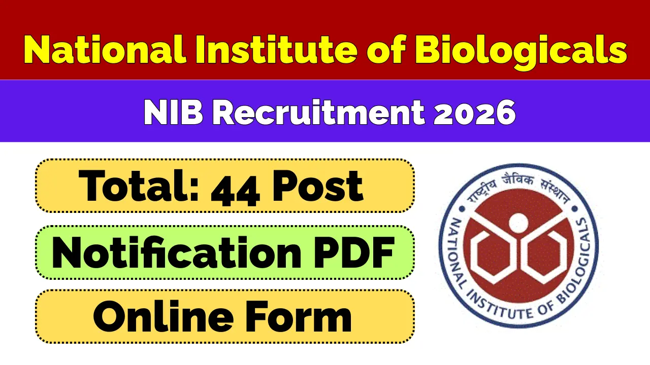 NIB Recruitment 2026